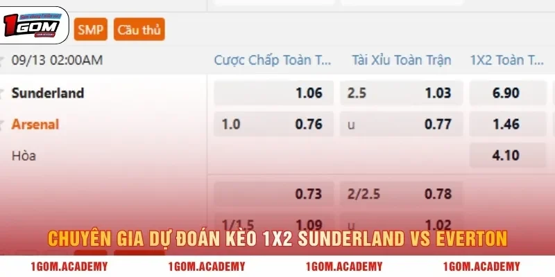 Chuyên gia dự đoán kèo 1x2 Sunderland vs Everton